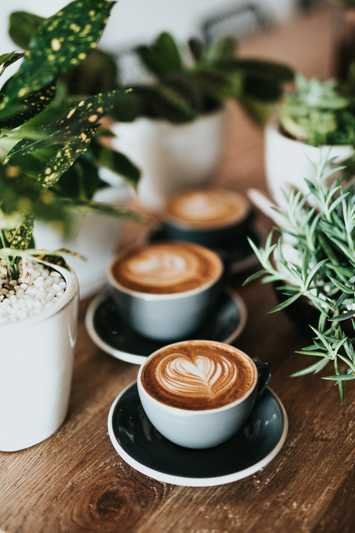 Espresso cup with crema and coffee beans