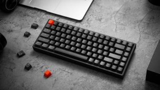 Zeb Max Ninja 61 Keys Wireless Mechanical keyboard