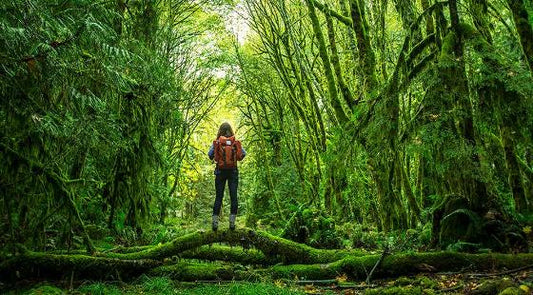 Nature Adventure