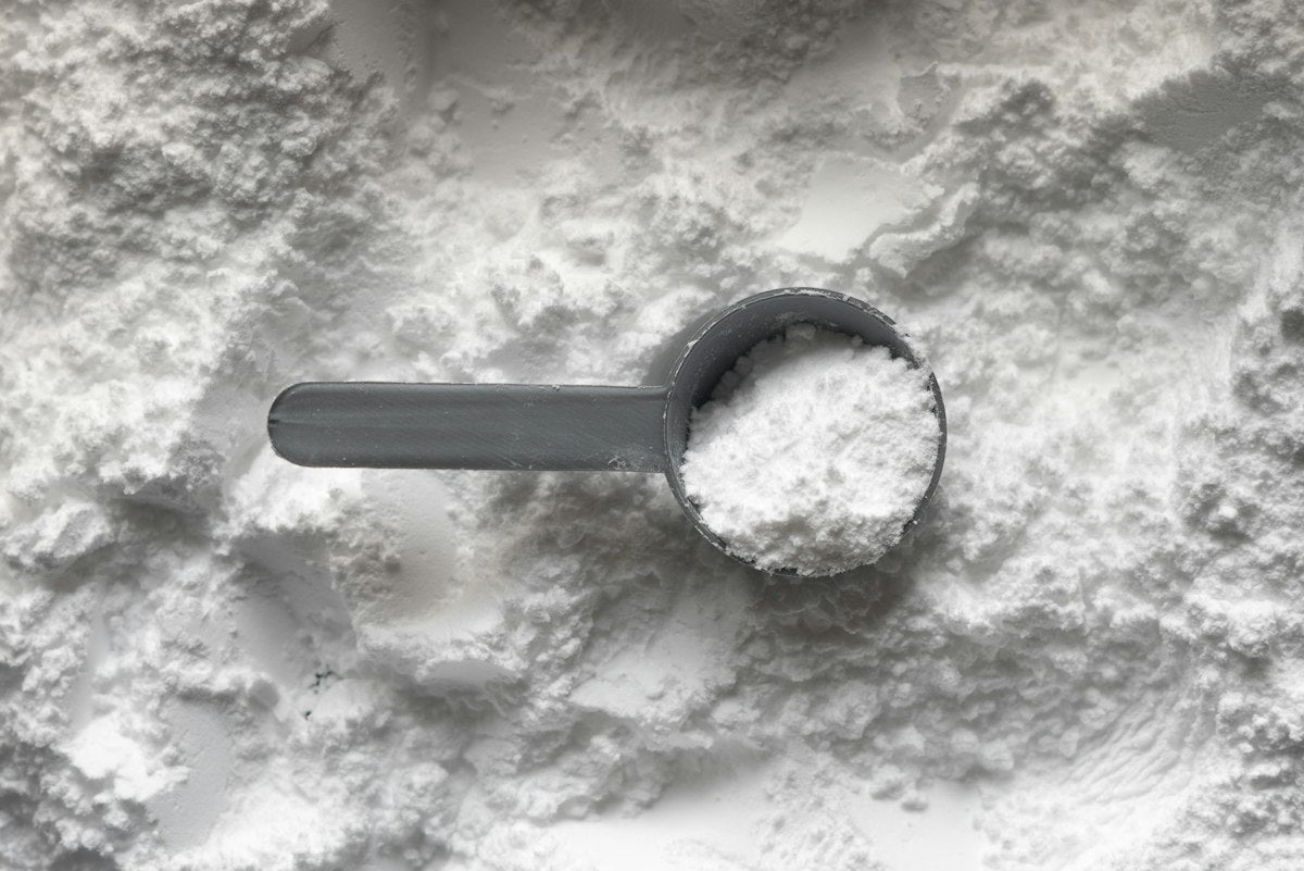Scoop of chocolate protein powder